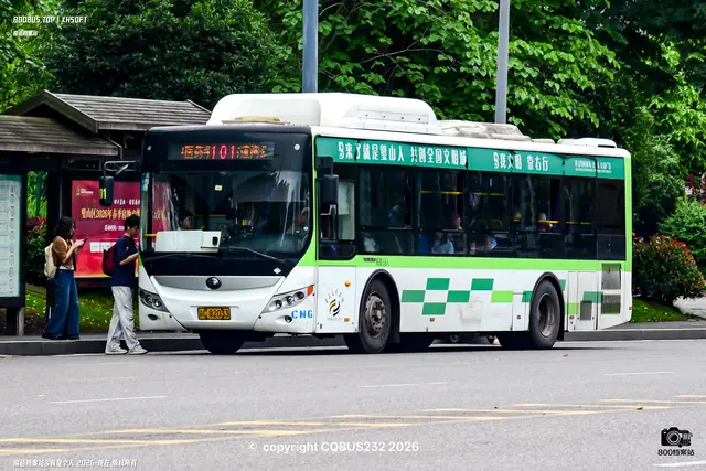 渝C 82033