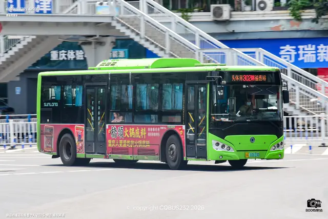 800BUS