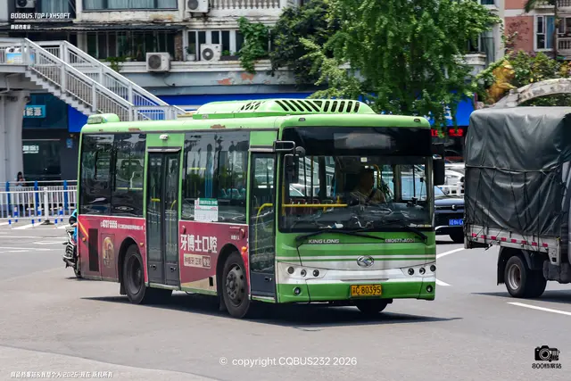 渝C 80395