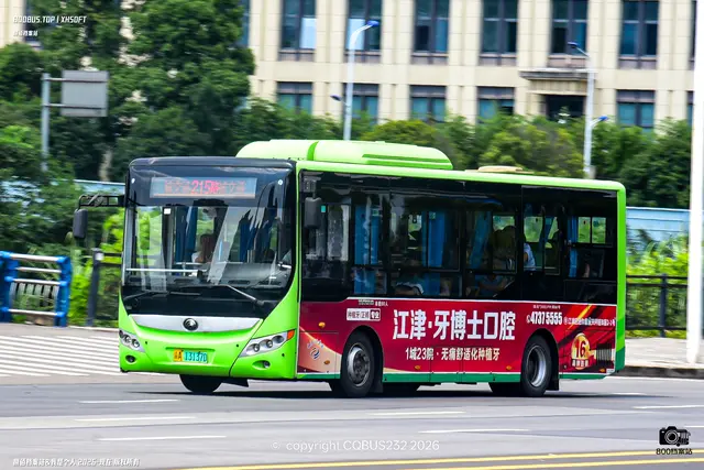 渝A 13137D