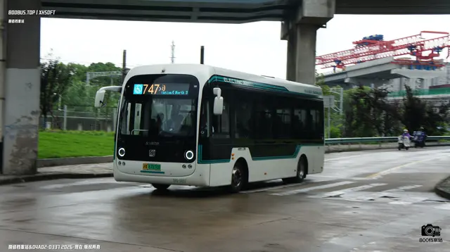800BUS