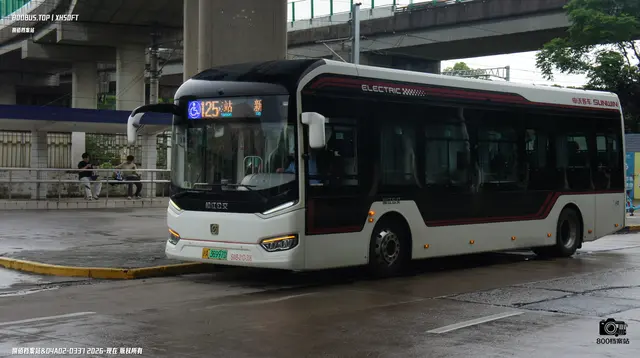 800BUS