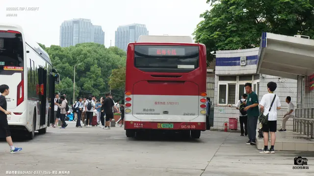 800BUS