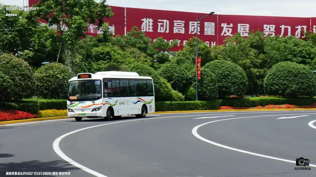 沪A 36001D