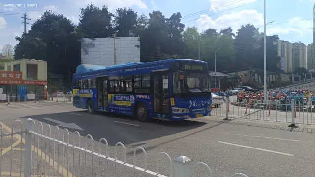 800BUS