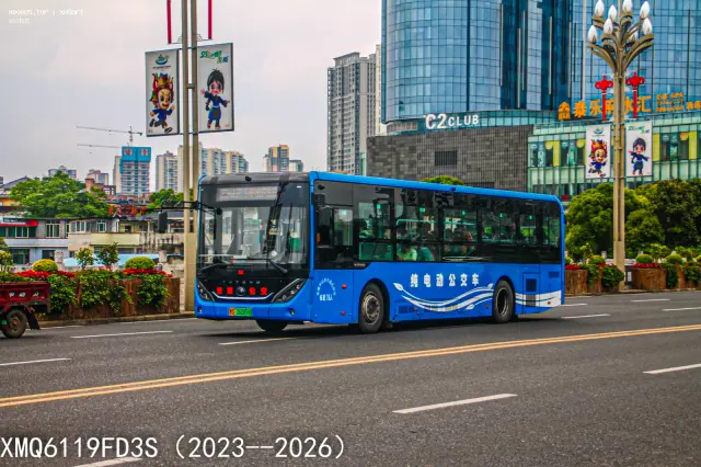 800BUS