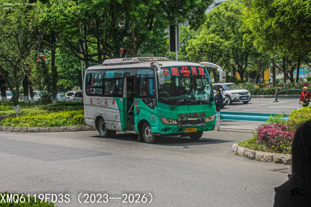 800BUS