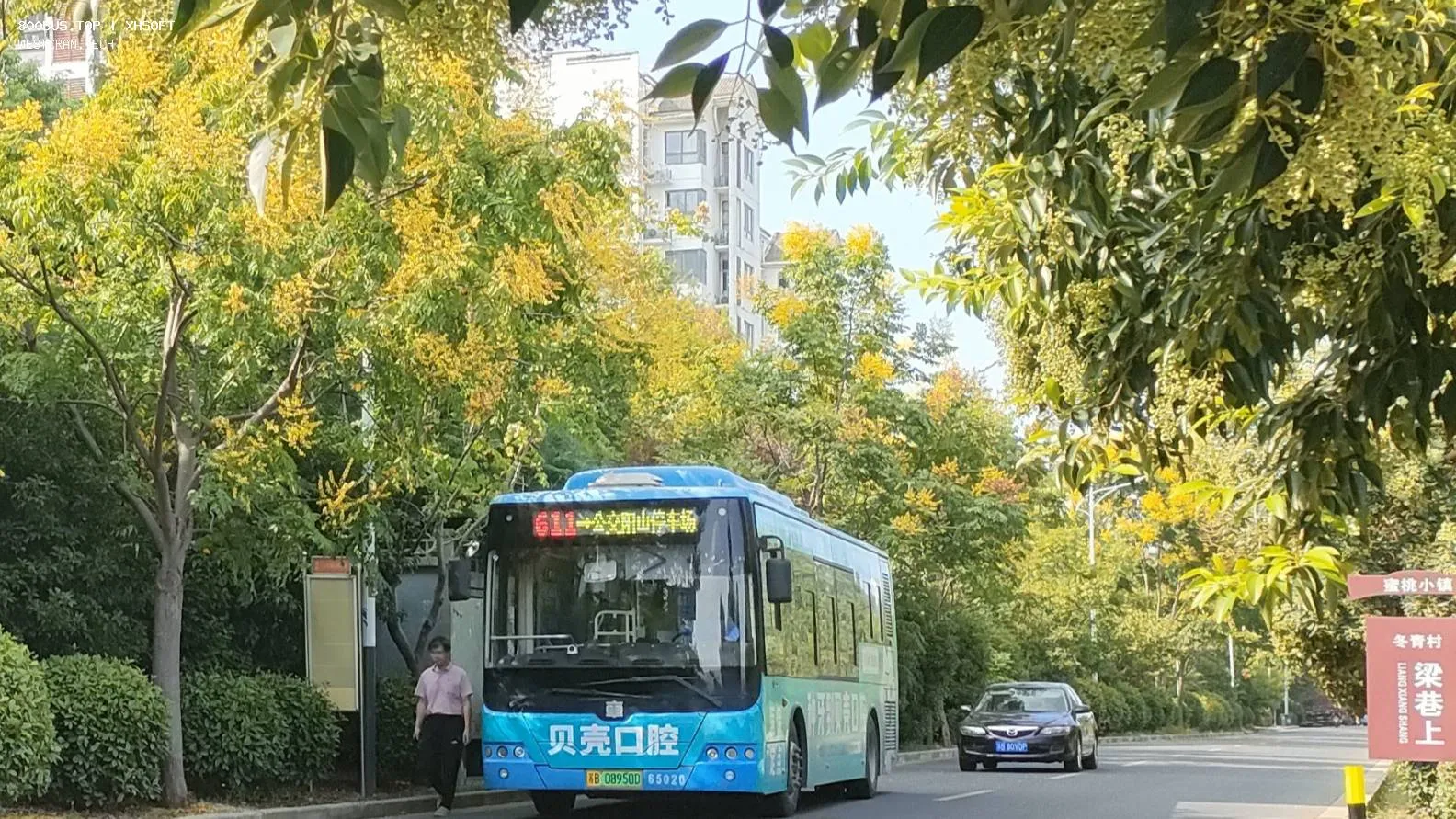 Bus Archive