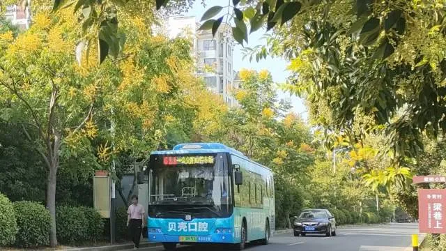 苏B08950D