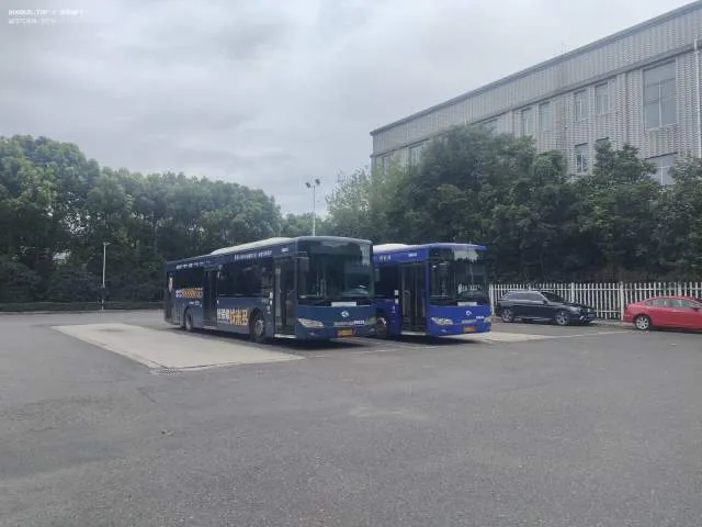 苏D67531&苏D72973