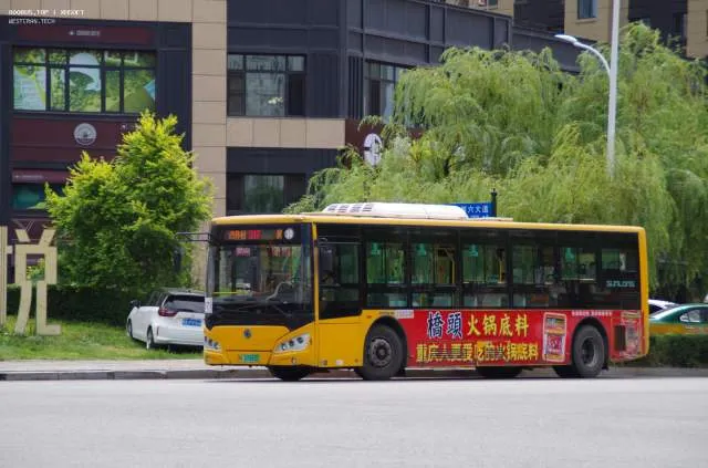 黑A07893D