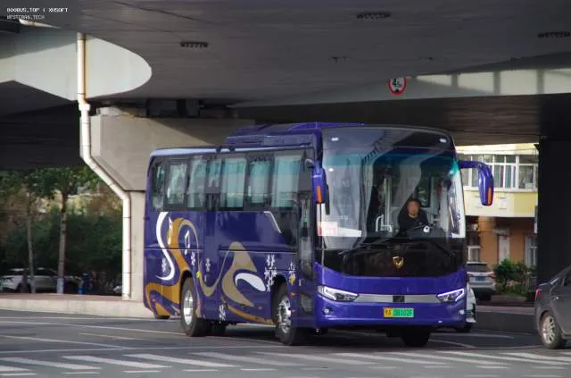 黑A08102F