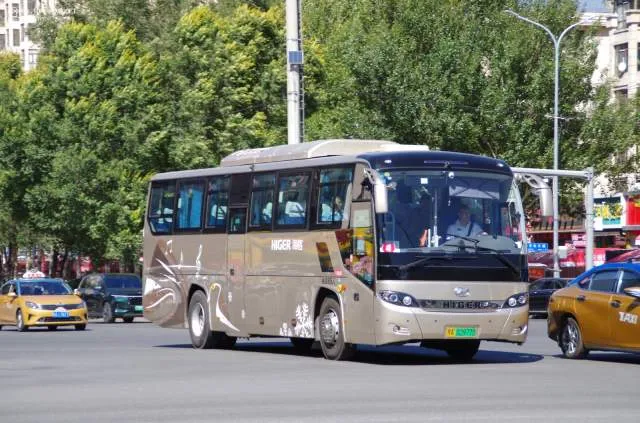 黑A02977D