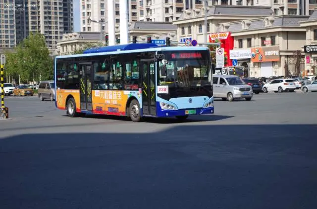 黑A03665D