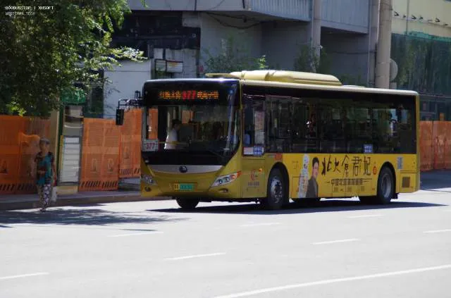 黑A06836D