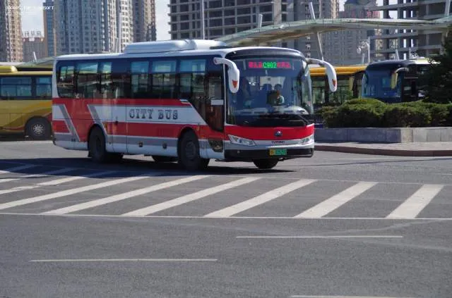 黑A02629D