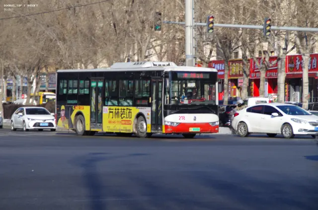 800BUS