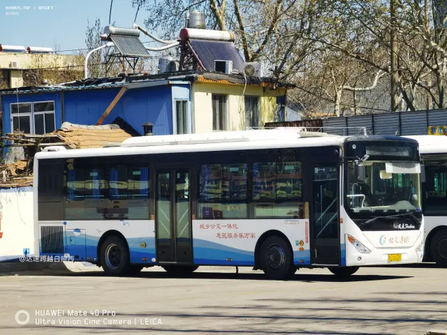 鲁L D6205