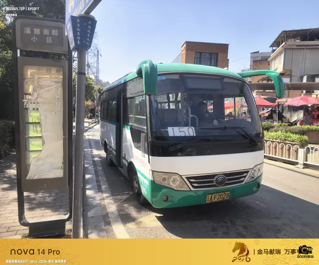 800BUS