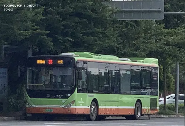 800BUS