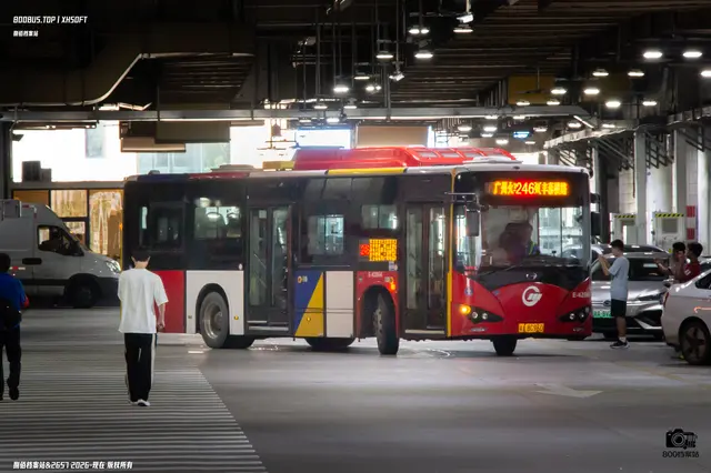 800BUS