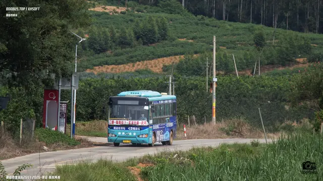 桂A Q1728