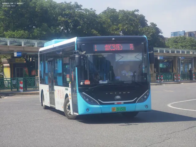 800BUS