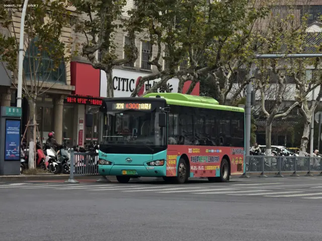 800BUS