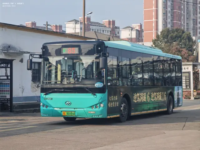 800BUS