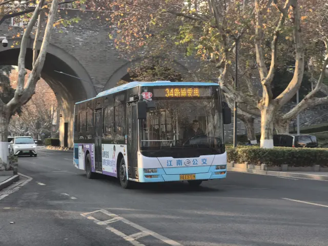 800BUS