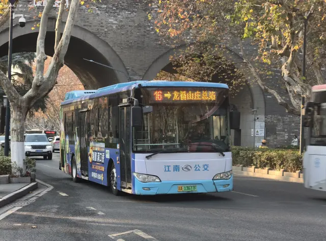 800BUS