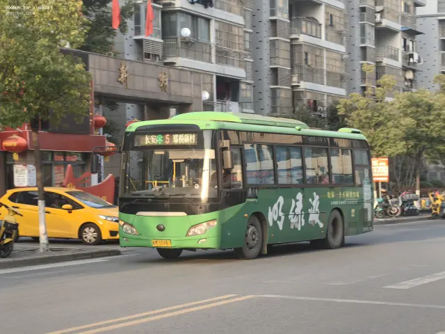 皖M·35981