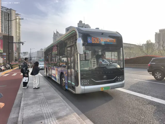 800BUS