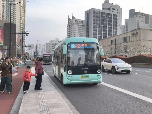 800BUS
