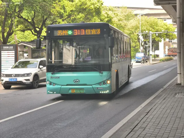 800BUS