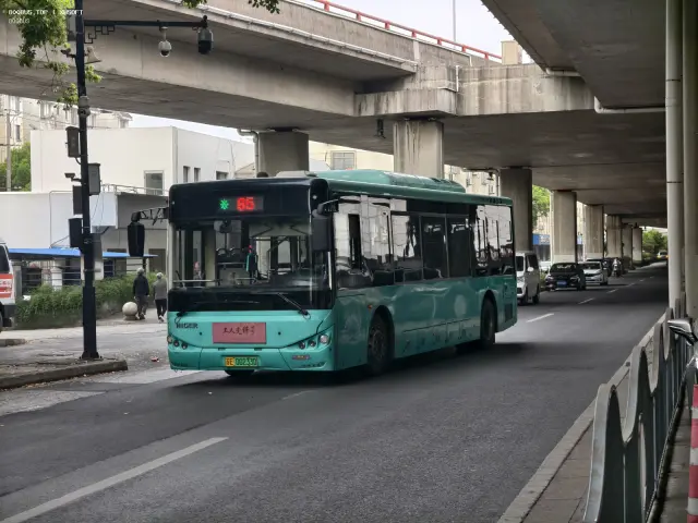 800BUS