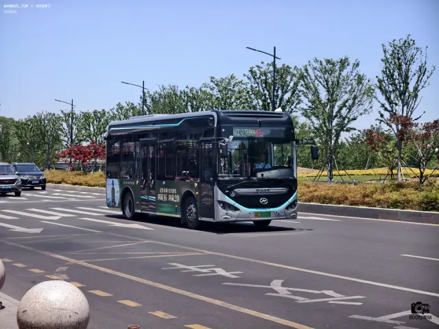 苏E·31570D