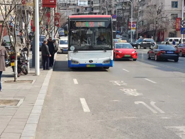 辽E00098D