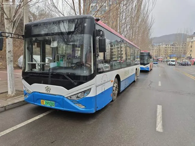 辽E09928D