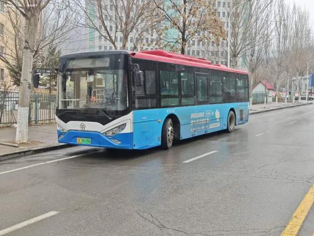 辽E09199D