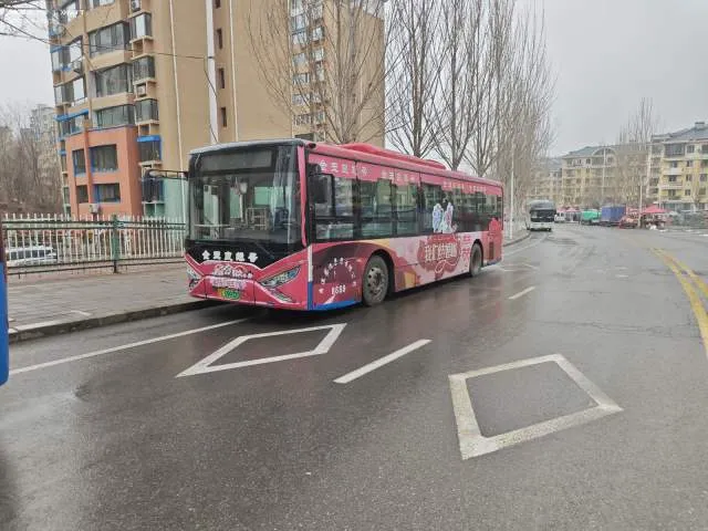 辽E 00932D