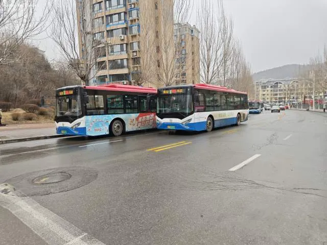 辽E09910D