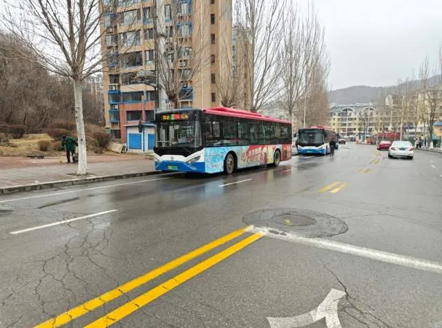 辽E09960D