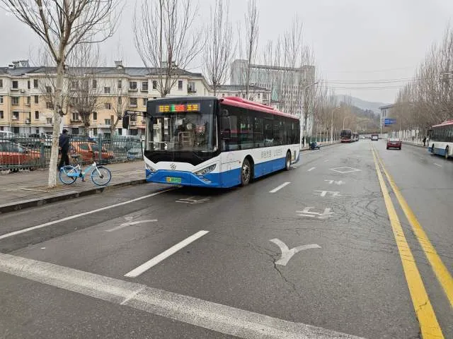 辽E09955D