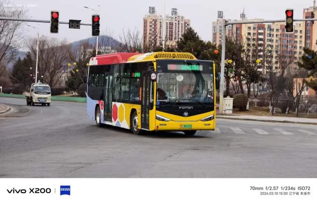 辽E06015D