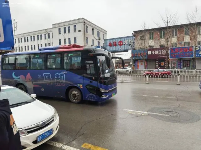 辽E06856D