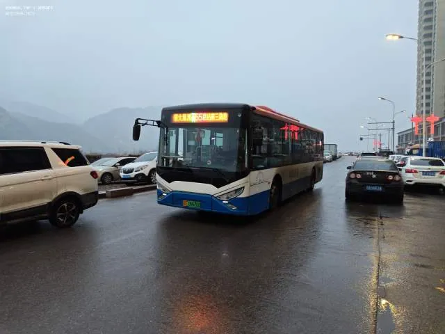 辽E09676D