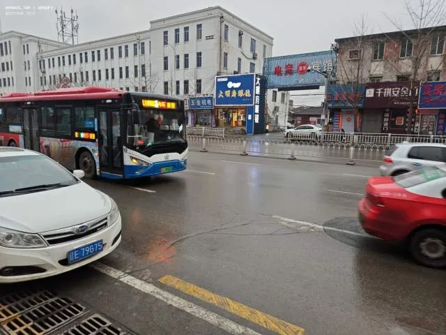 辽E00982D