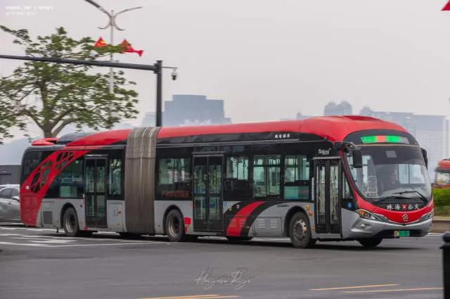 粤C08186D