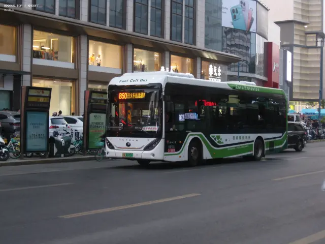 800BUS